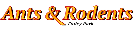 Tinley Park Ant Exterminator & Rodent Control Company Logo